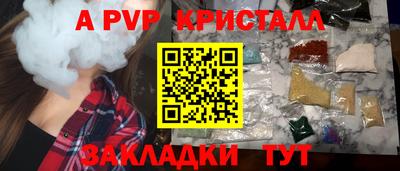 СК Тара