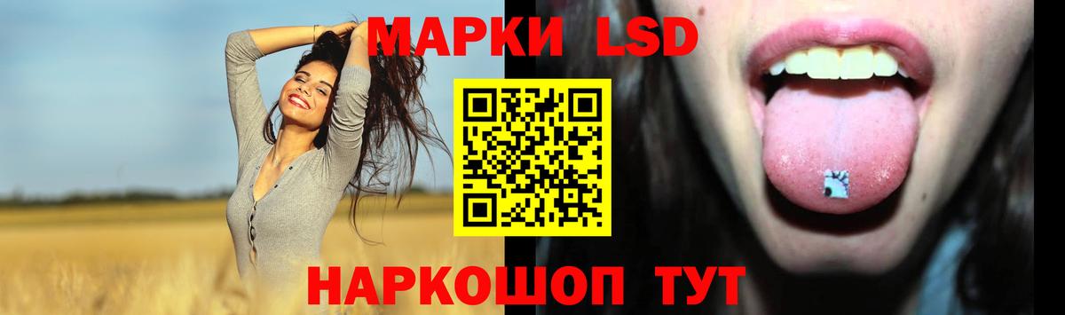 Альфа ПВП Дятьково