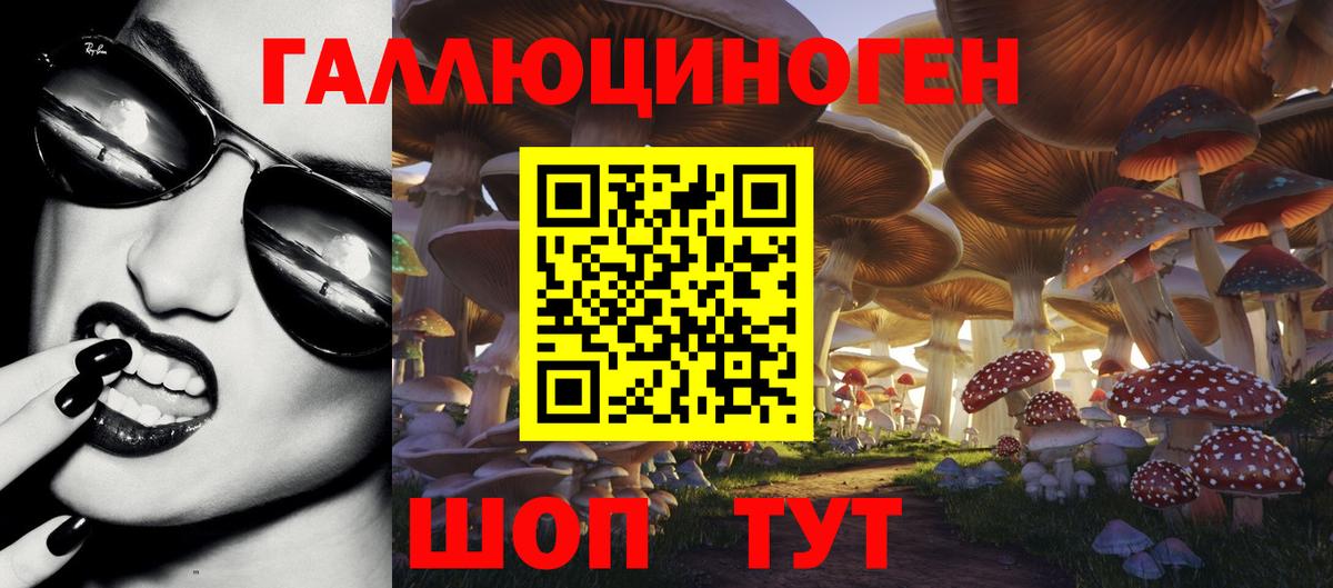 Дятьково  Галлюциногенные грибы ЛСД  Вход с VPN  Псилоцибиновые грибы Psilocybe 
