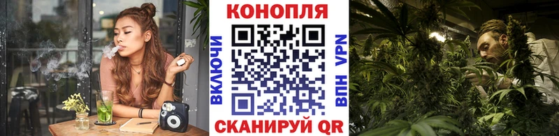 Конопля сатива  Дятьково 